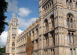 Natural History Museum London - Travel  England